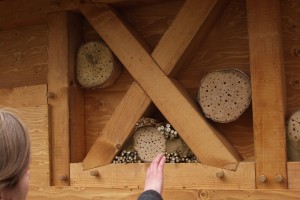 Insektenhotel 08